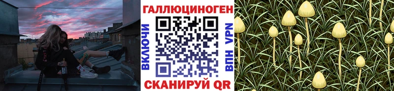 Псилоцибиновые грибы MAGIC MUSHROOMS  сколько стоит  Усть-Илимск 